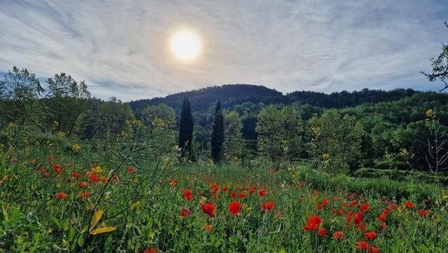 Ambient amb regust estiuenc a l'Estany (Jaume Rovira)