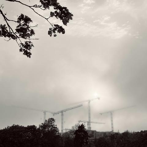 Silhouetted cranes loom in fog, with a diffused sun peeking through clouds, framed by tree branches in a monochromatic tone.