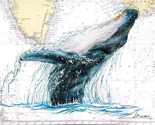 Peinture d'une baleine à bosse qui saute hors de l'eau à l'aquarelle. Réalisé sur une carte marine du Groenland