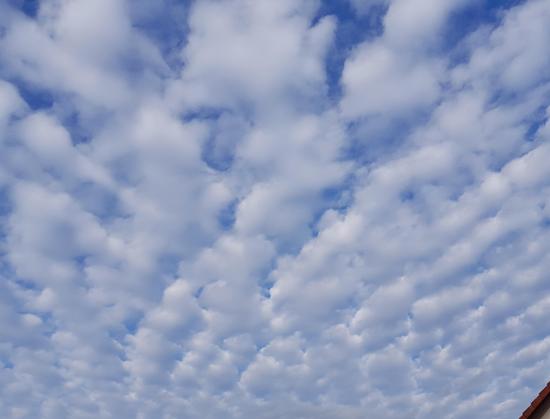 Weiße Wolken, sehr dicht aneinander, am blauen Himmel.