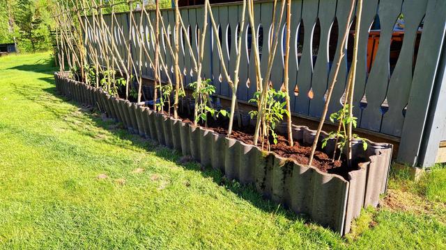 Place for tomatoes