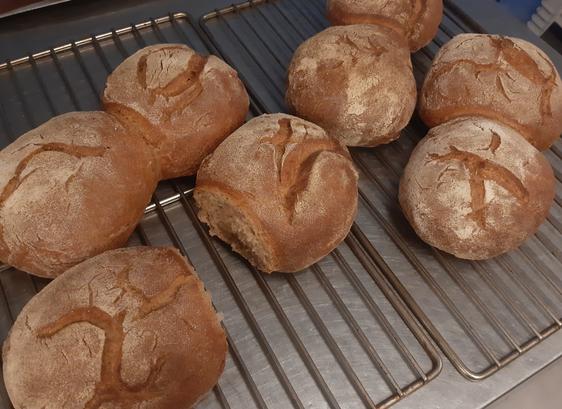 8 frisch gebackene Brote auf einem Gitter am auskühlen. Die Kruste von jedem Brot ist mehlig und nach einem jeweils einzigartigen Muster aufgerissen.