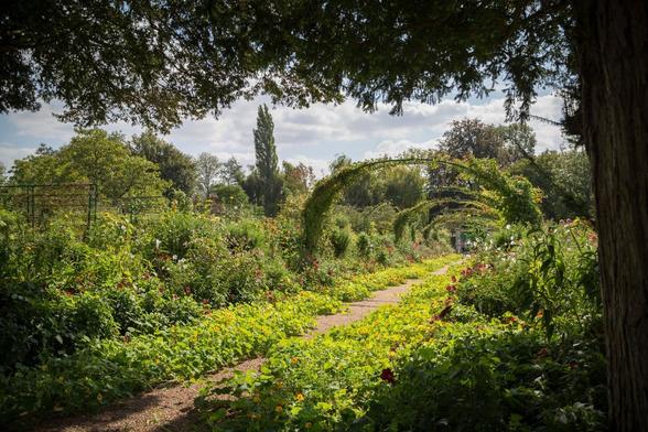 Chemin bordé de verdure et surplombé d’arches couvertes de plantes