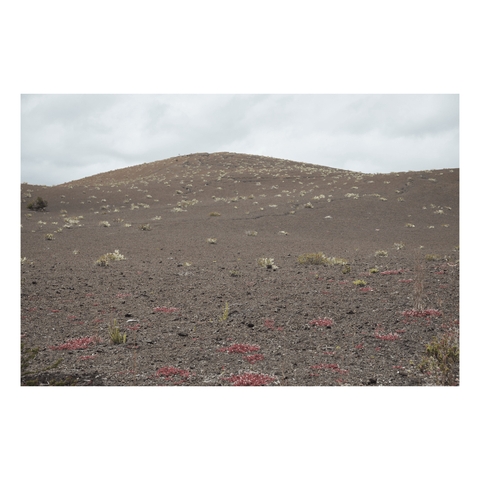 cinder cone in front of gray sky