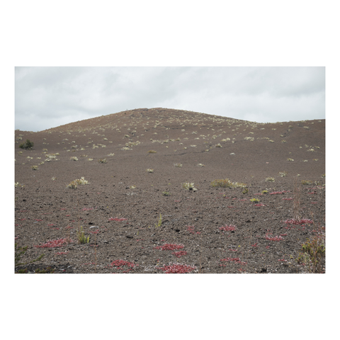 cinder cone in front of gray sky