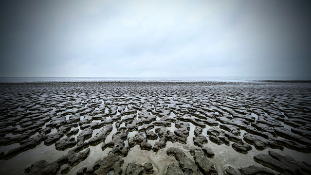 An der Waterkant hat sich das Wasser bei Ebbe zurück gezogen und hinterläst eine stark zerklüfteten Meeresboden. Am Horizont geht das Grau des Himmels nahtlos in das Grau des Wattenmeeres über.
