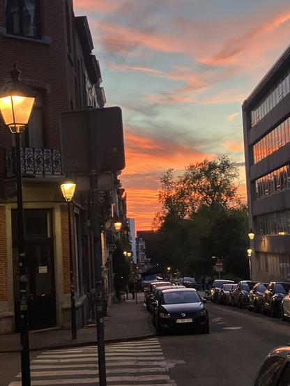 Street at sunset. The street lights are already on, but it is still daylight and At the background the sky is partly and strongly orange. Cars parked on each side of the street.