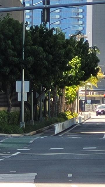 Separated bicycle lane