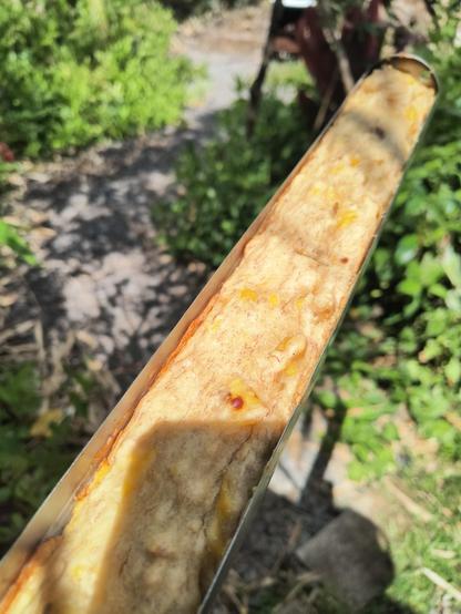 A banana bread that just came out of the solar cooker