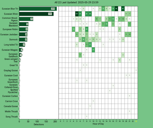 Today's top 20 bird chart