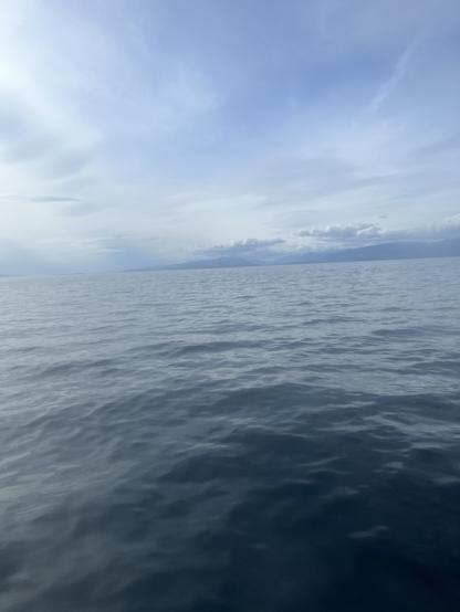 Open sea with gentle waves under a mostly clear sky. The water appears calm, with soft ripples across the surface. In the distance, there is a faint outline of mountains or land on the horizon, partially covered by some low clouds. The sky above is light blue with a few wispy clouds, giving the scene a peaceful and expansive feeling. There are no boats, people, or animals visible in the image.

Image description provided with Be My Eyes.
