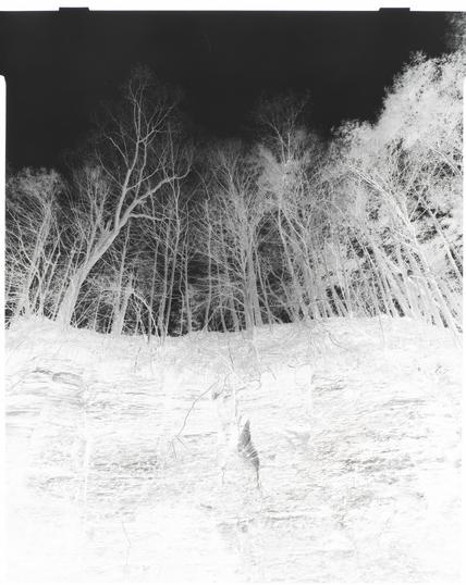 The negative I decided to try to print.