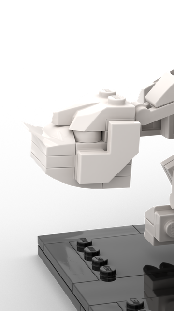 The robust and sturdy skull of a tanky mammal