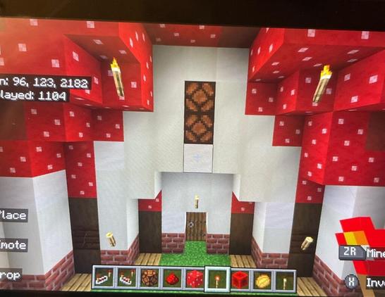 Can anyone help me make a redstone light switch for my house?