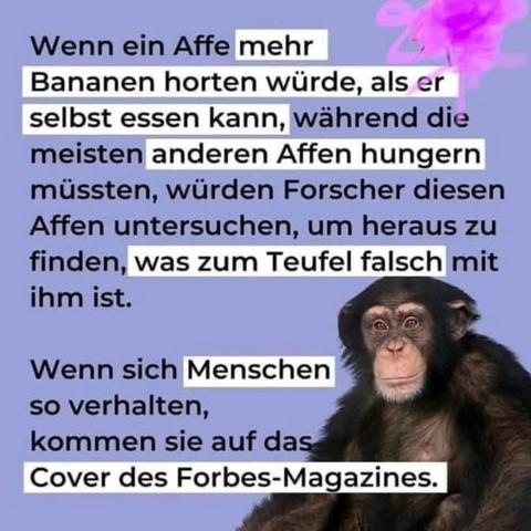 Lila Hintergrund mit Bild von einem Schimpansen und Text ":Wenn ein Affe mehr
Bananen horten würde, als er selbst essen kann, während die meisten anderen Affen hungern müssten, würden Forscher diesen Affen untersuchen, um heraus zu finden, was zum Teufel falsch mit ihm ist.
Wenn sich Menschen so verhalten,
kommen sie auf das
Cover des Forbes-Magazines."