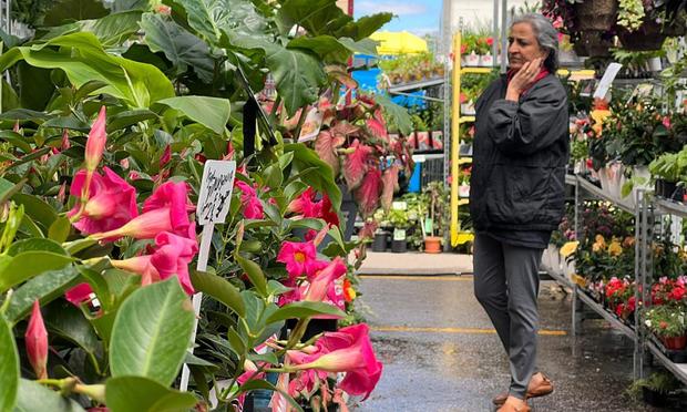 Una mujer busca una planta en un vivero. (NurPhoto)