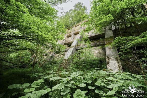 pyramid like building emerging from the forest