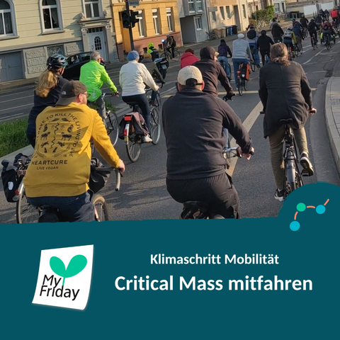 Foto: Eine Gruppe Fahrradfahrende, die im Verbund auf der Straße fahren.