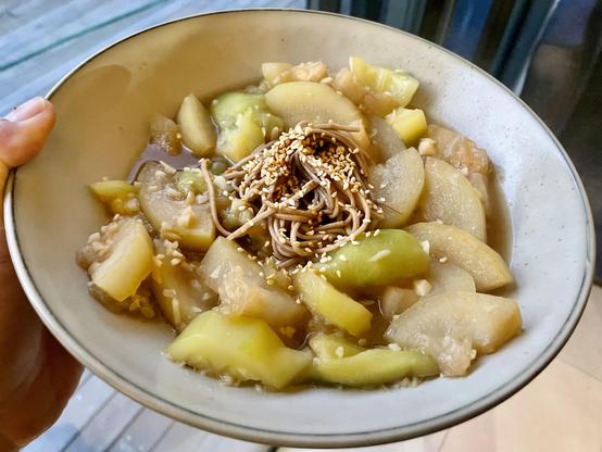 A shallow bowl held in my had. Inside is cooked green/ yellow melon. In the middle is a small amount of brown noodle in a swirl with sesame seeds on top