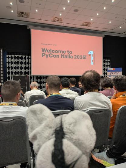 Plush donkey looking at the stage of PyCon Italia 2025