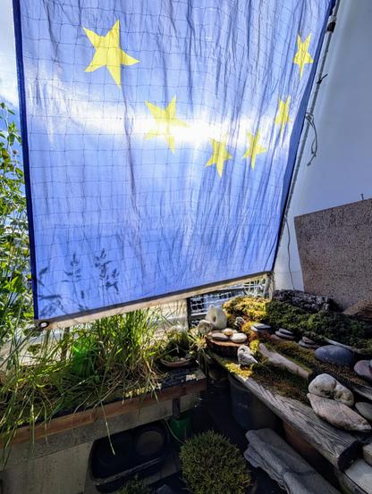 Eine alte, ausgebleichte Europafahne dient mir als Sonnensegel.
Unten sieht man ein Ende der Balkonkästen mit Catwalk und weiter rechts Moos und Steine auf einem Regal voller Geraffel.