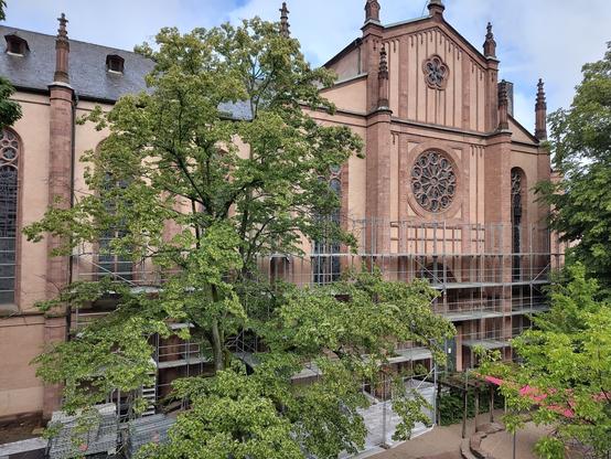 Das Foto zeigt den Bilck aus einem Fenster auf das Mittelschiff der St. Bonifatiuskirche in Wiesbaden. Ein Gerüst wird aufgestellt.