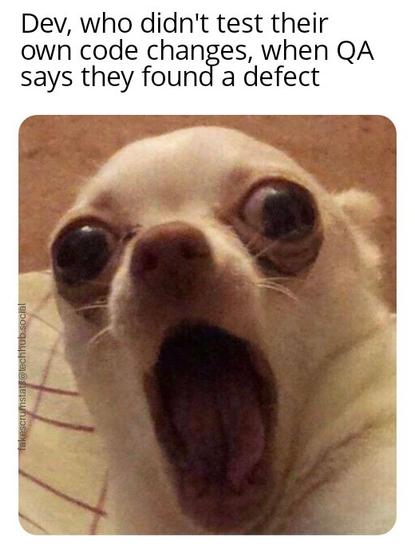 Small dog looking shocked.

Caption: Dev, who didn't test their own code changes, when QA says they found a defect