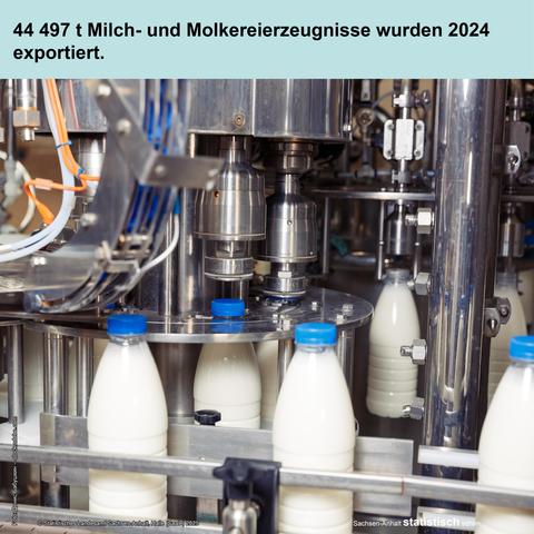 Foto: Milchabfüllanlage
Text: 44 497 t Milch- und Molkereierzeugnisse wurden 2024 exportiert.