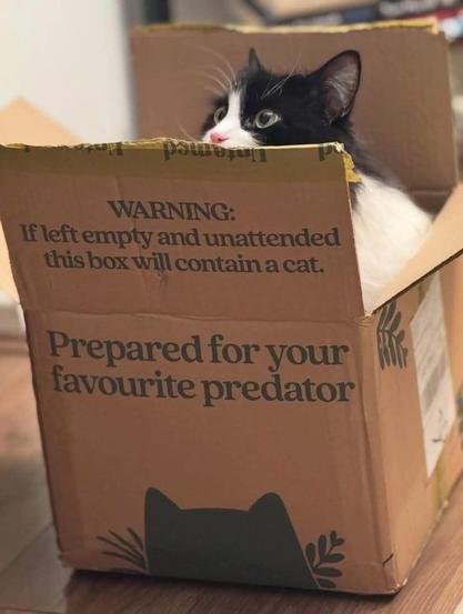 A black and white cat sitting in a box, looking slightly up and out.
On the front of the box is the text "Prepared for your favourite predator", with the silhouette of the top of a cat's head at the bottom of the box.
On the flap, opened, it says "Warning: If left empty and unattended, this box will contain a cat"