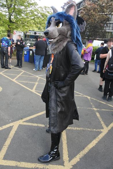 Photo of a wolf fursuiter outside the Hilton at Confuzzled 2025
He is wearing a leather trench coat, leather gloves, leather jeans and long PVC boots.