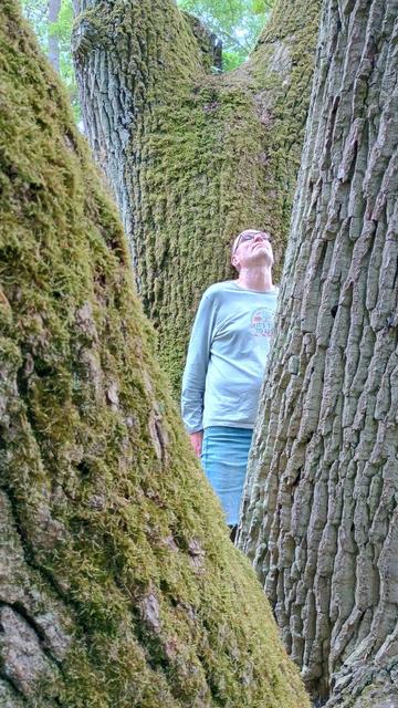 me standing at a tree and meditating