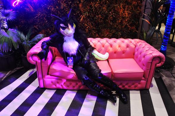 Fursuit photo - a furred dragon wearing leather jeans, jacket and gloves lounges on a faux-leather couch in one of the photoshoot areas.