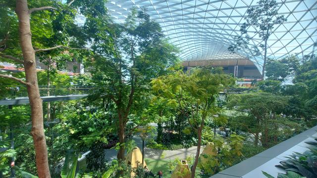 Doha airport garden inside the airport