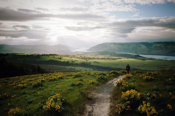 Rowena Crest, part fifteen - from Hikes of 2024.

Image made with my Nikon F100.