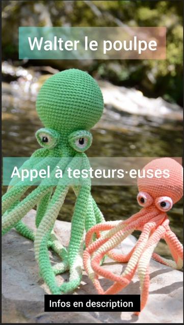 Visuel vertical représentant Walter le poulpe en deux tailles différentes, photographié en extérieur. Sur l'image, un encart texte annonce : "Appel à testeurs·euses – Walter le poulpe".