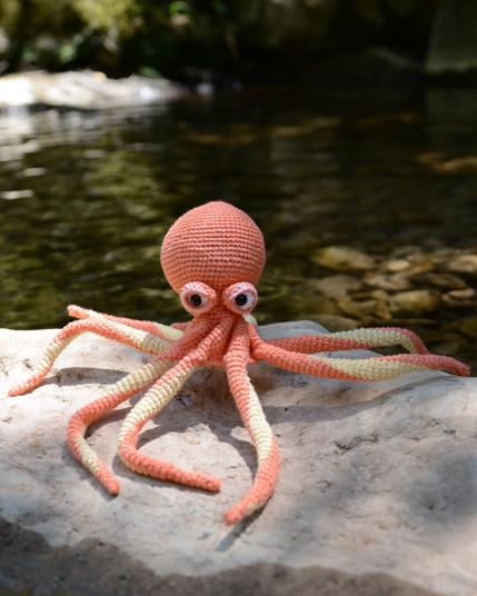Un poulpe au crochet posé sur un rocher, au bord d'un ruisseau en sous-bois. Il est corail avec des tentacules jaune pâle et corail. Il regarde vers l'objectif dans une posture expressive.