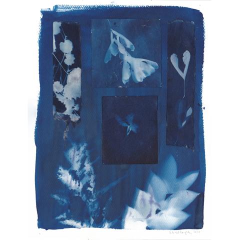As described this is a one of a kind artwork made with cyanotype images on water colour paper and collaged cyanotype images on assorted handmade Japanese washi papers,  11” x 14”. The cyanotypes include images of leaves, wildflowers, and maple keys.