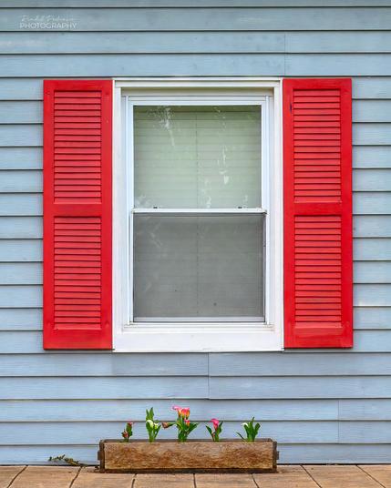 An unpainted wooden flower box with 5 flowers planted in it sits on the ground centered under a white framed window with red shutters on a light blue house.