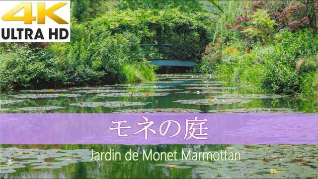 モネの庭　初夏を彩る花と睡蓮 / Monet's beloved garden