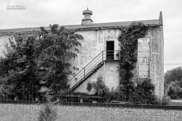 A two story concrete warehouse building sits next to the railroad tracks that serviced it in the past.  Metal stairs lead up to a door on the second level.  Trees and vines grow beside and up the side of the building.