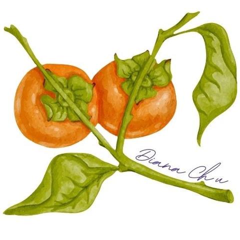 A watercolour of tomatoes with Diana Chu’s signature.