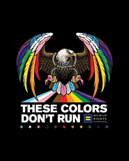 Bald eagle with long eyelashes, pink talons, trans pride colored tail feathers, trans and gay pride colored wings, and wearing a harness, while flying over a rainbow road. The human rights campaign name and logo are bottom right with pride colored stars at the bottom.