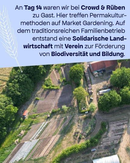 Unten: Drohnenfoto von einem Gemüseanbaubetrieb

Text: An Tag 14 waren wir bei "Crowd&Rüben" zu Gast. Hier treffen Permakulturmethoden auf Market Gardening. Auf dem traditionsreichen Familienbetrieb entstand eine Solidarische Landwirtschaft mit Verein zur Förderung von Biodiversität und Bildung.