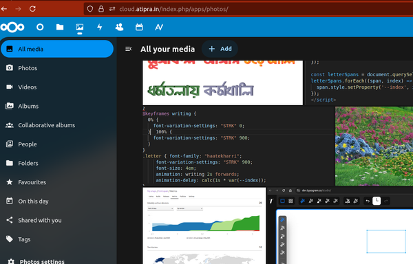 Screenshot of a self-hosted Nexcloud instance showing collection of photos