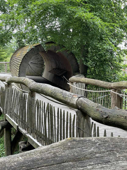 Holzsteg mit Geländer in einem Wald