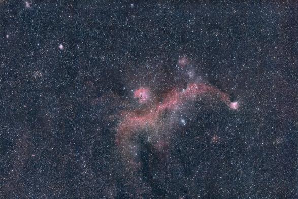 A star-filled view of a portion of the night sky featuring a red-pink nebula shaped like a gull with its wings almost spread.