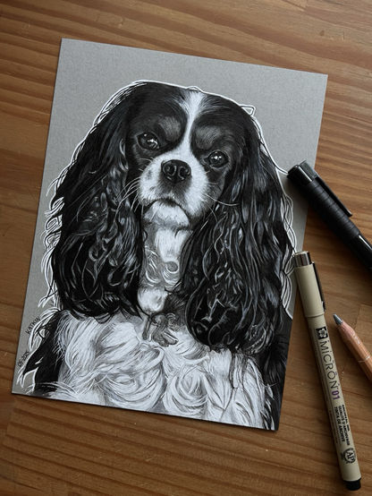 Eine hochdetaillierte Zeichnung eines Cavalier King Charles Spaniels auf grauem Zeichenkarton. Auf dem Bild liegen drei verschiedene Stifte.