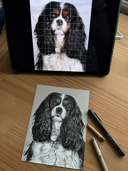Ein Foto einer Zeichnung eines Cavalier King Charles Spaniels auf grauem Zeichenkarton. Oben im Foto steht ein iPad mit dem Vorlagenfoto zu der Zeichnung, auf der man das Raster sieht.