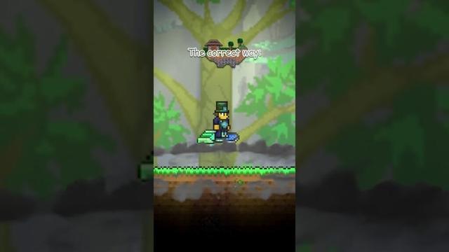 Never check this sound #terraria #memes #unexpected
