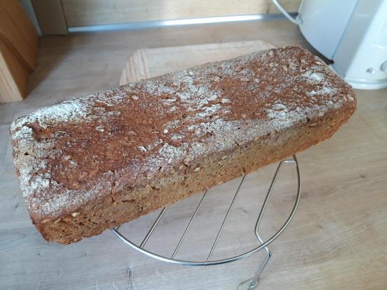 Kastenbrot, das auf einem Drahtgestellt auskühlt